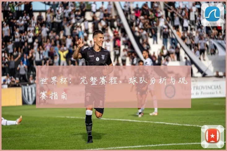 世界杯：完整赛程、球队分析与观赛指南