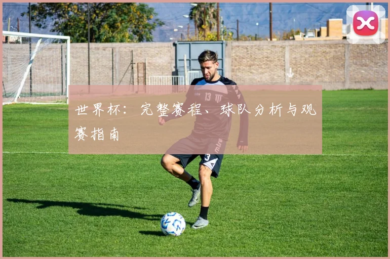 世界杯:完整赛程、球队分析与观赛指南